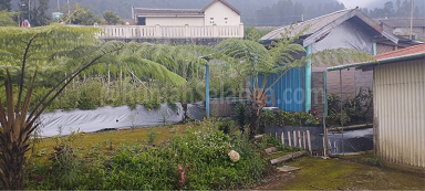#1103 | 1M | LT:778m2 | Jual Tanah di Getasan | Cuntel