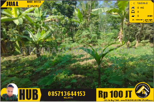 #1109 | 100JT | LT:135m2 LB:-m2 | Jual Tanahdi Salatiga | gendongan 100jt an aja luas 135m2 ( TERJUAL )